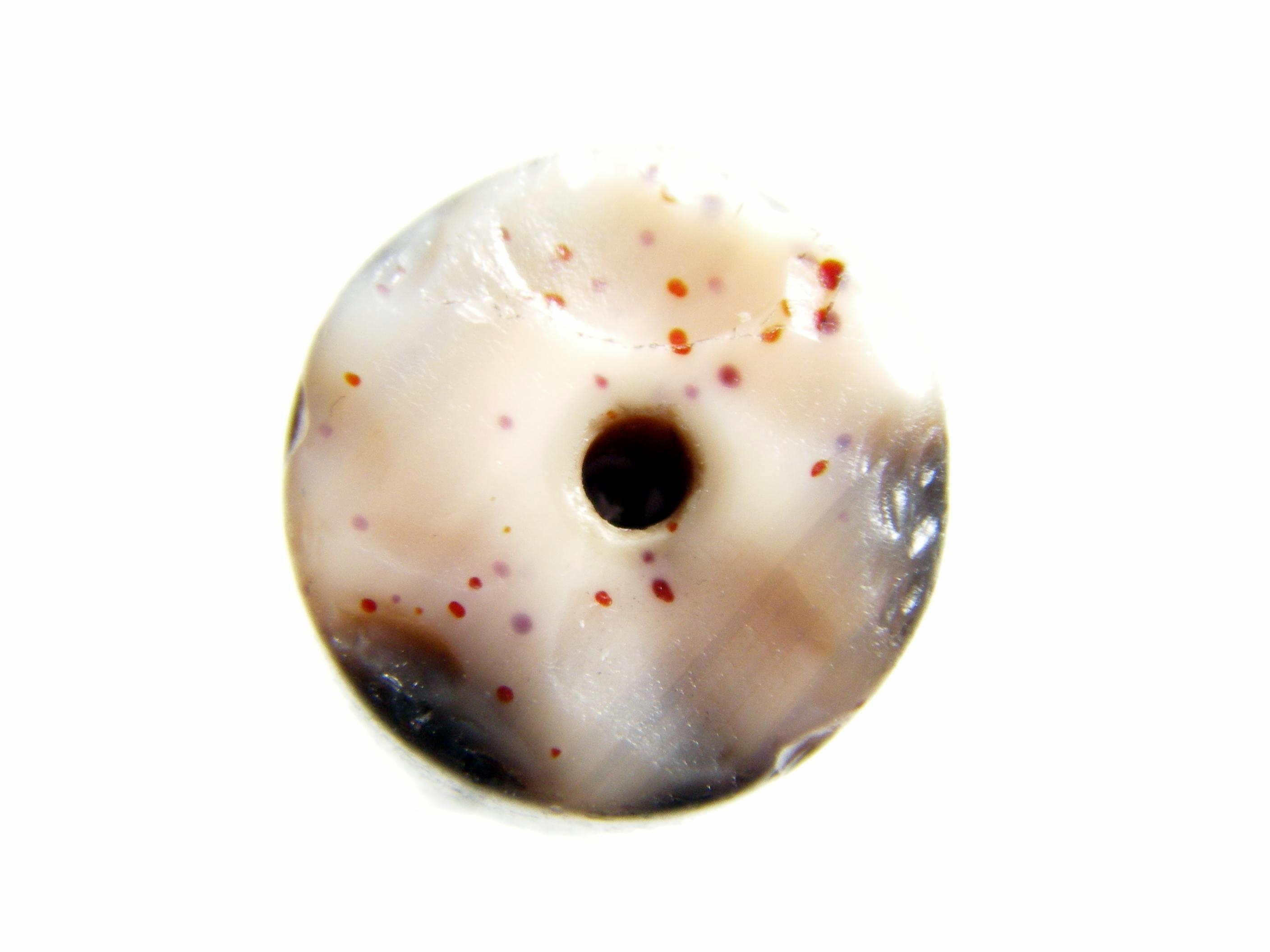 Dzi Bead with Blood Spots